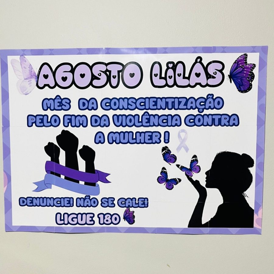 erros comuns painel agosto lilas evitar