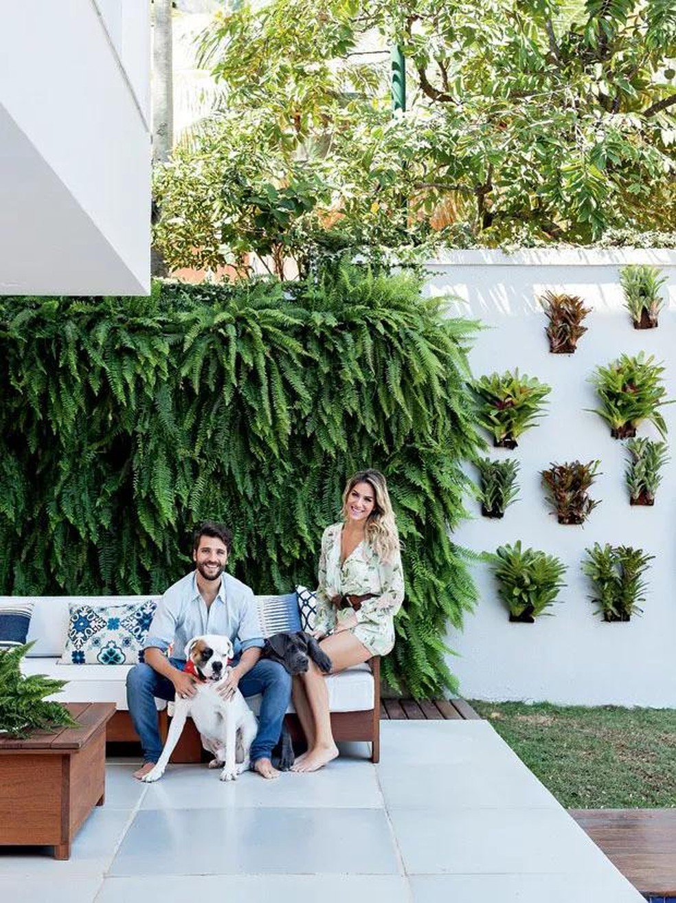 erros comuns ao montar jardim vertical na parede