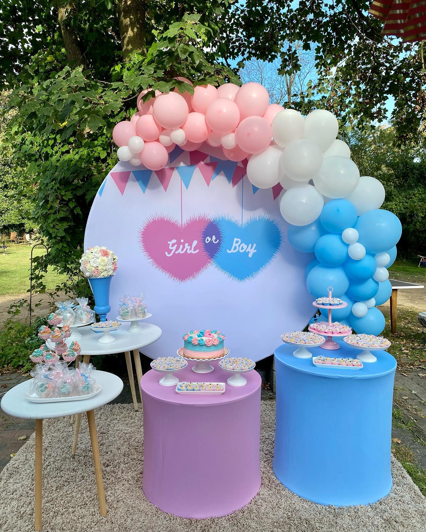 decoração revelação