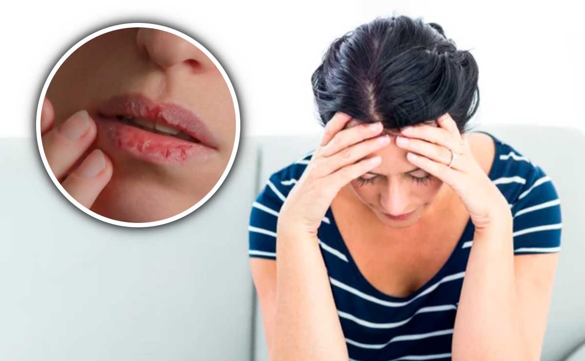 A Importância da Riboflavina no Metabolismo Energético