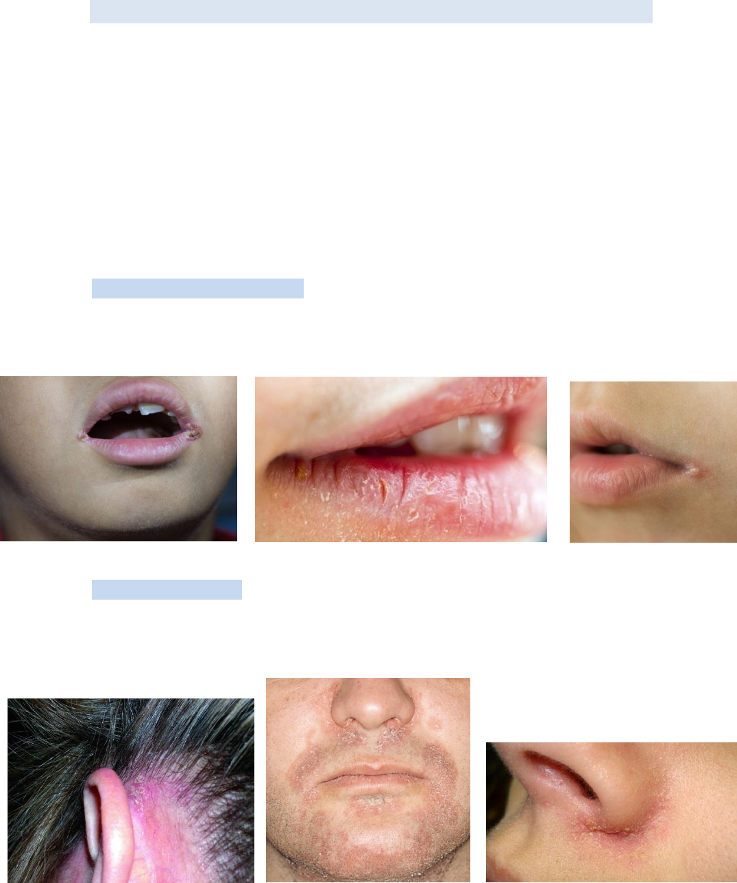 Alimentos Ricos em Vitamina B2