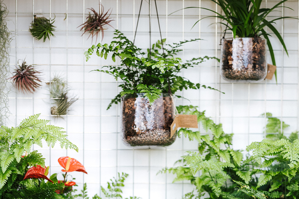 Guia de adubação orgânica para iniciantes