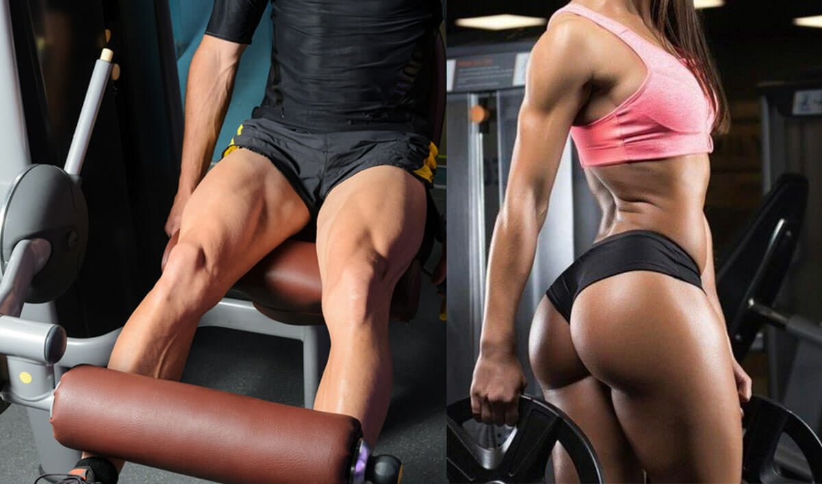 dieta para engrossar as pernas rapidamente