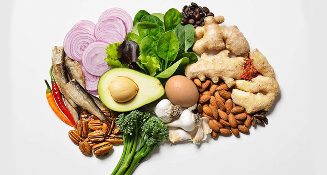 Mitos e Verdades sobre a Alimentação e o Cérebro