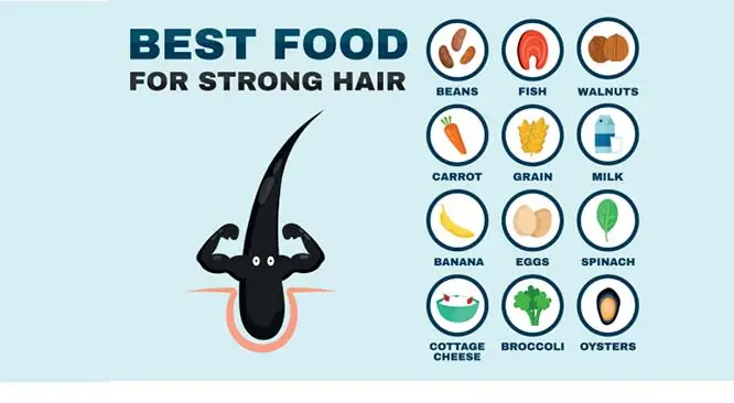 dieta para quem tem telogen effluvium