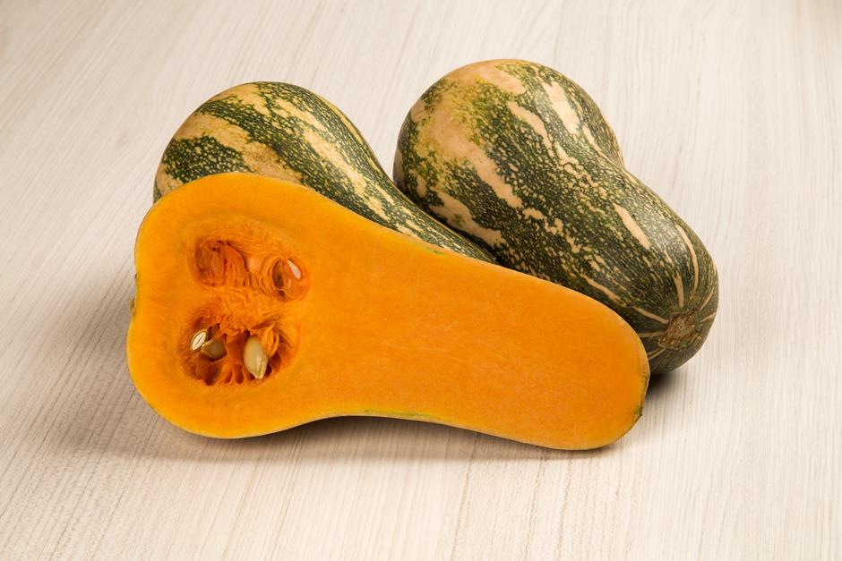 diferença entre abóbora paulista e pescoço