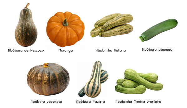 5 Receitas Deliciosas com Abóbora Paulista