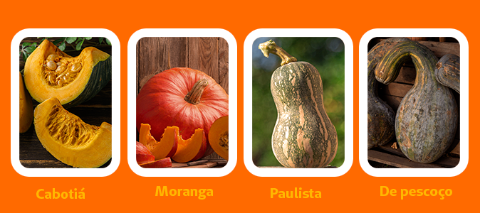 Abóbora de Pescoço: O Segredo dos Doces Tradicionais