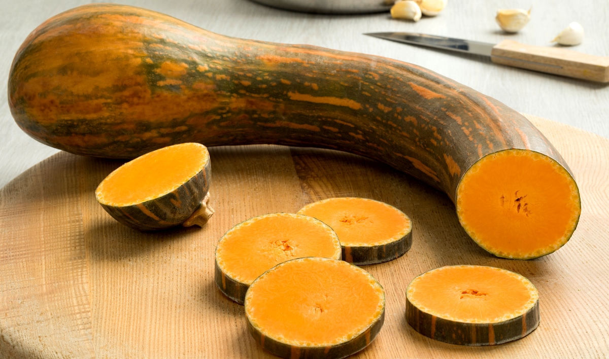 Abóbora de Pescoço: O Segredo dos Doces Tradicionais