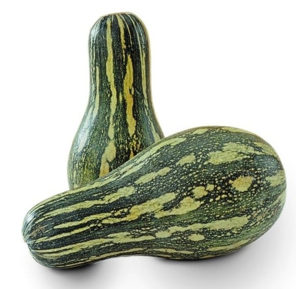 Como Escolher a Abóbora Certa para Cada Prato