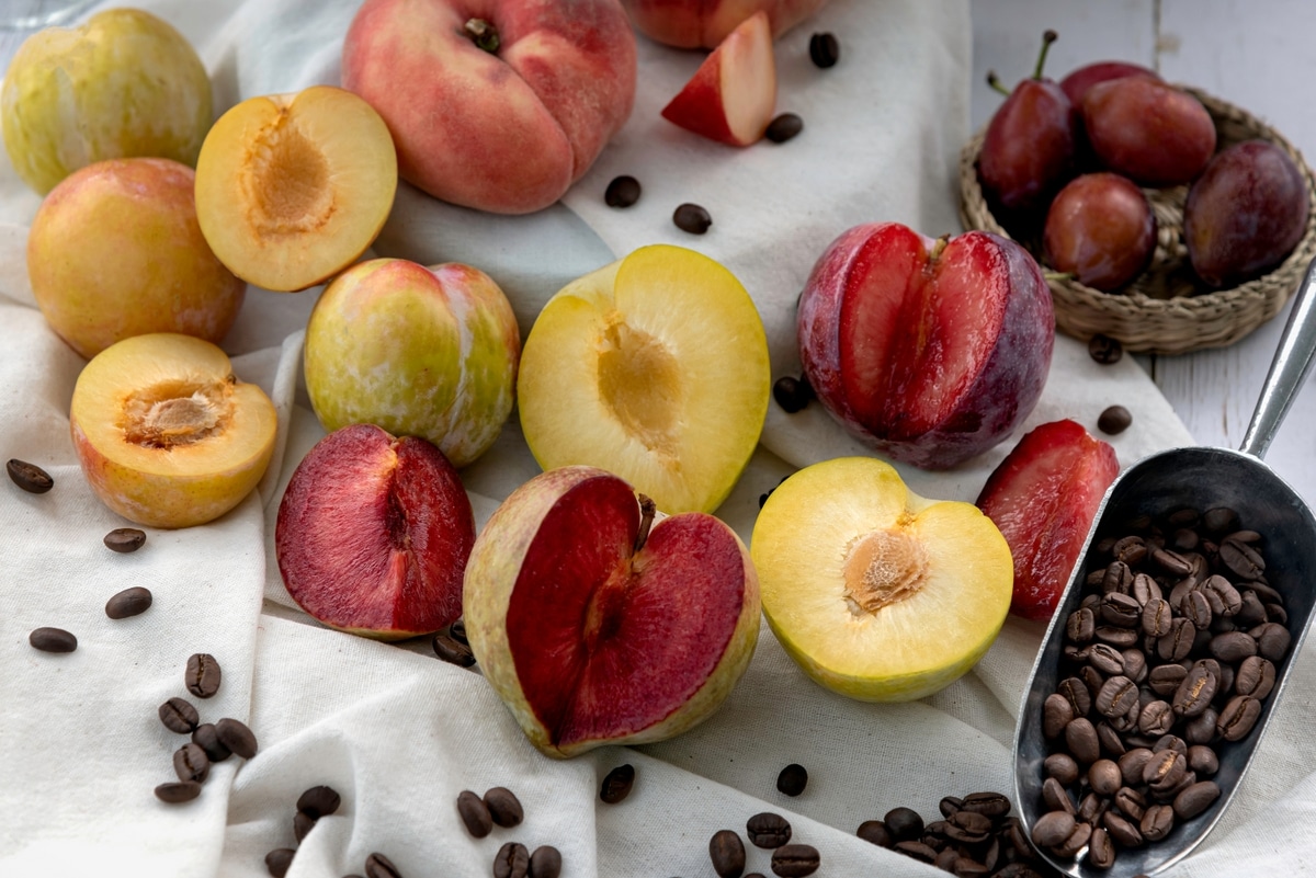 Ameixa Fresca: Ideias de Lanches Saudáveis