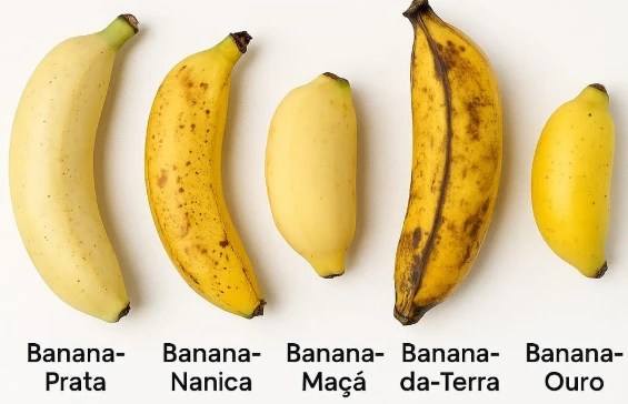 5 Receitas Incríveis com Banana Nanica