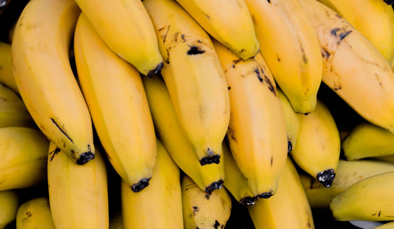 5 Receitas Incríveis com Banana Nanica