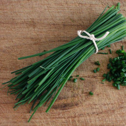 Dicas de chef para usar cebolinha e ciboulette