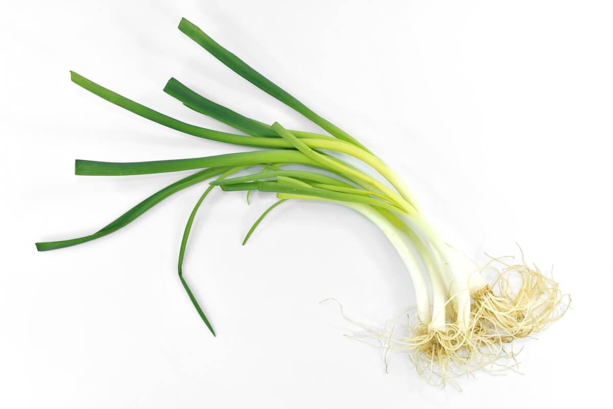 Benefícios nutricionais da ciboulette