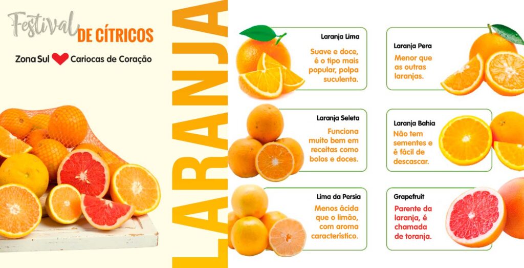 Guia Completo das Variedades de Laranja: Qual Escolher para Cada Ocasião