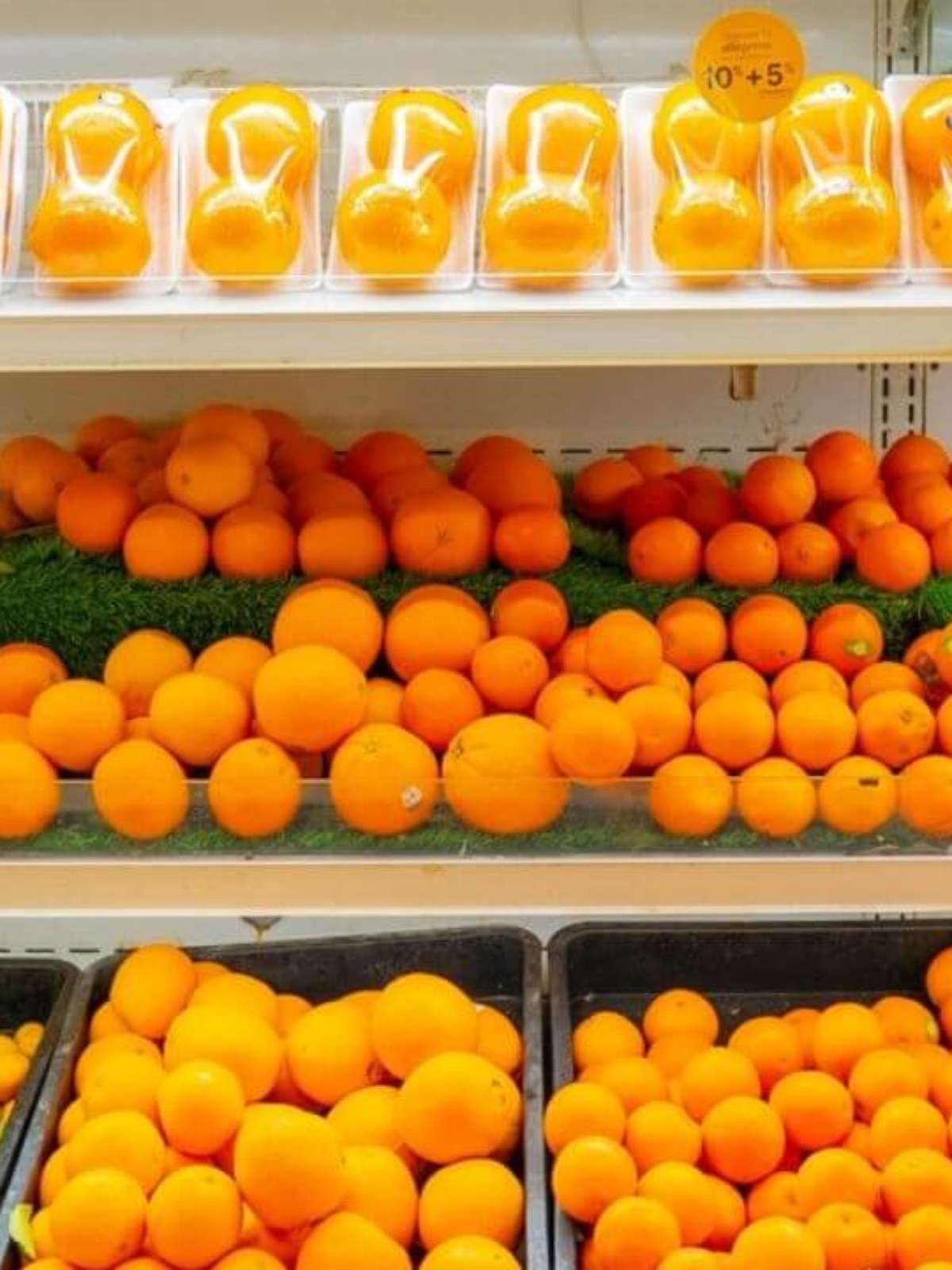 Como Identificar a Laranja Lima e a Laranja Bahia: Dicas Essenciais