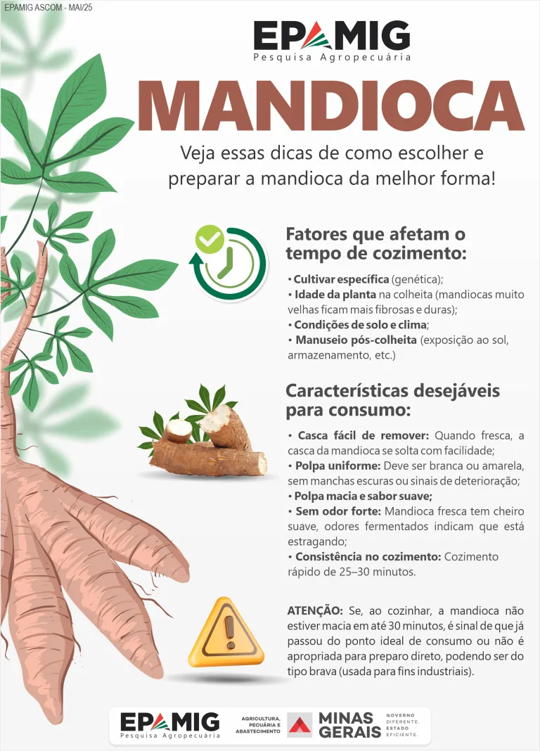 Benefícios nutricionais da macaxeira e aipim