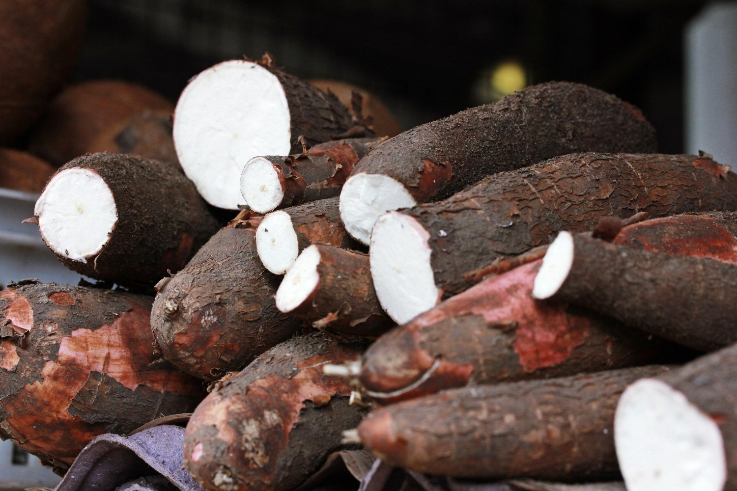 Receitas com macaxeira: 5 pratos deliciosos