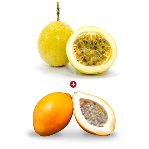 Receitas incríveis com maracujá azedo