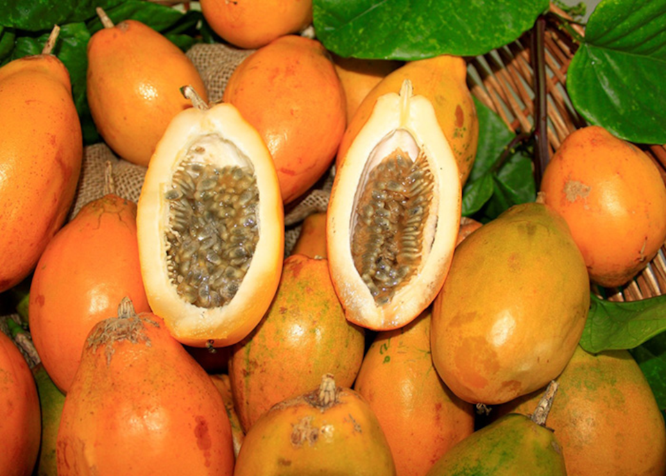 Os benefícios nutricionais do maracujá para a saúde