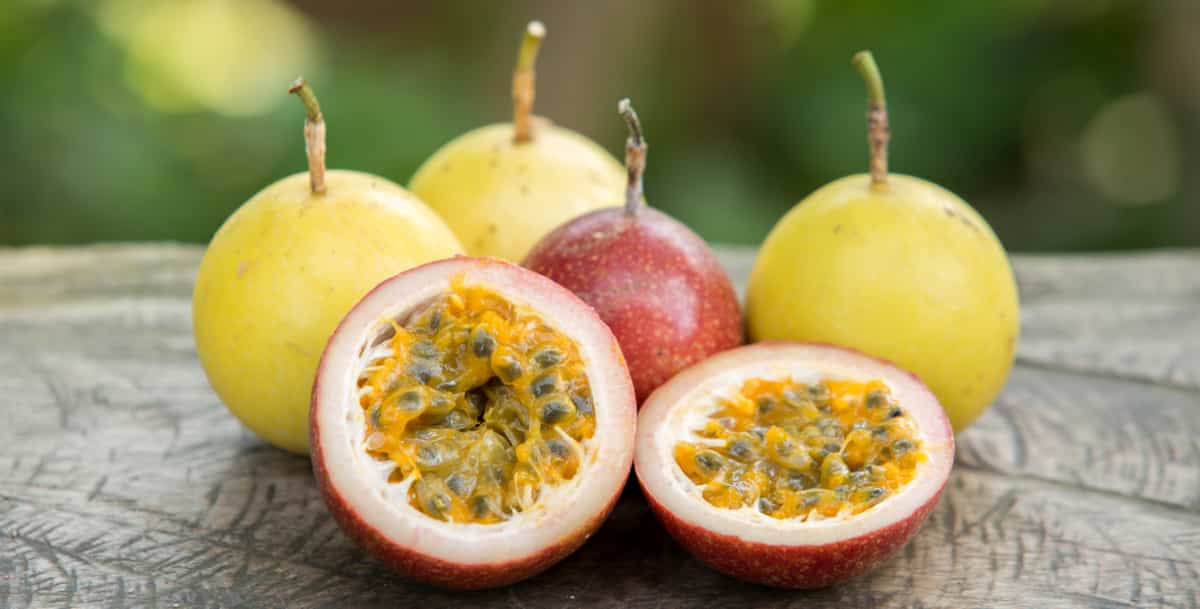 Guia completo sobre as flores do maracujá