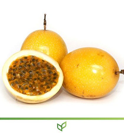 Receitas incríveis com maracujá azedo