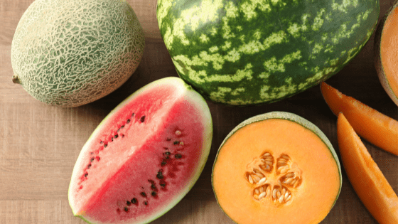 Receitas de Sucos Detox com Melão e Melancia