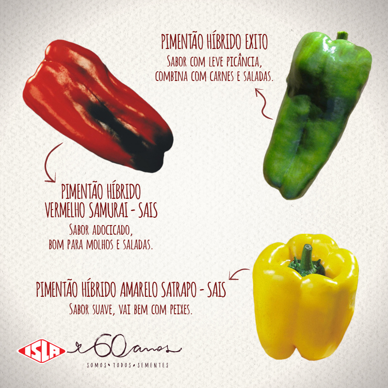 Receita de Salada Colorida com Pimentões