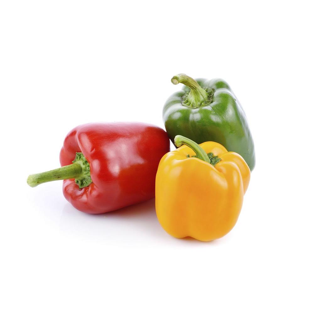 Guia Completo de Pimentões para Iniciantes