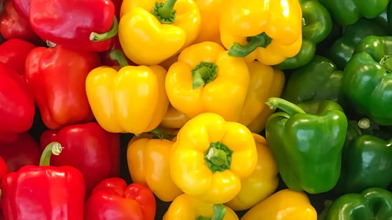 diferença entre pimentão verde vermelho e amarelo