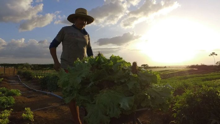 O impacto da pecuária na sustentabilidade: Análise de 'Cowspiracy'