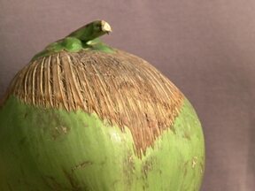 doenças do coqueiro