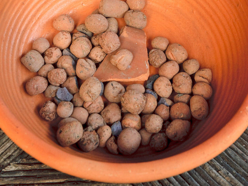 Guia Completo de Substratos