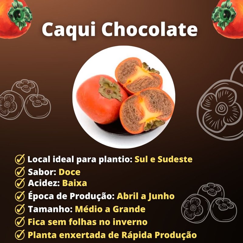 Caqui: Do Plantio à Colheita - Entenda o Ciclo Completo