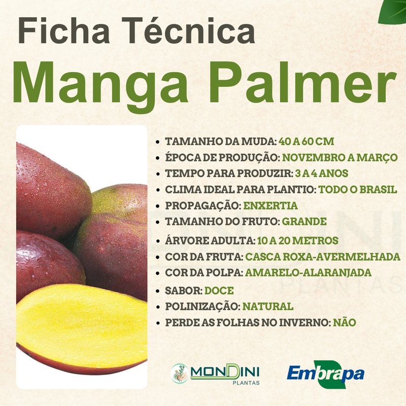 época de manga palmer no brasil