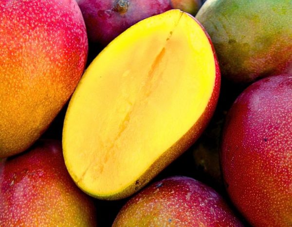 Onde comprar manga Palmer fresca online