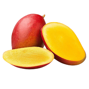 época de manga palmer no brasil