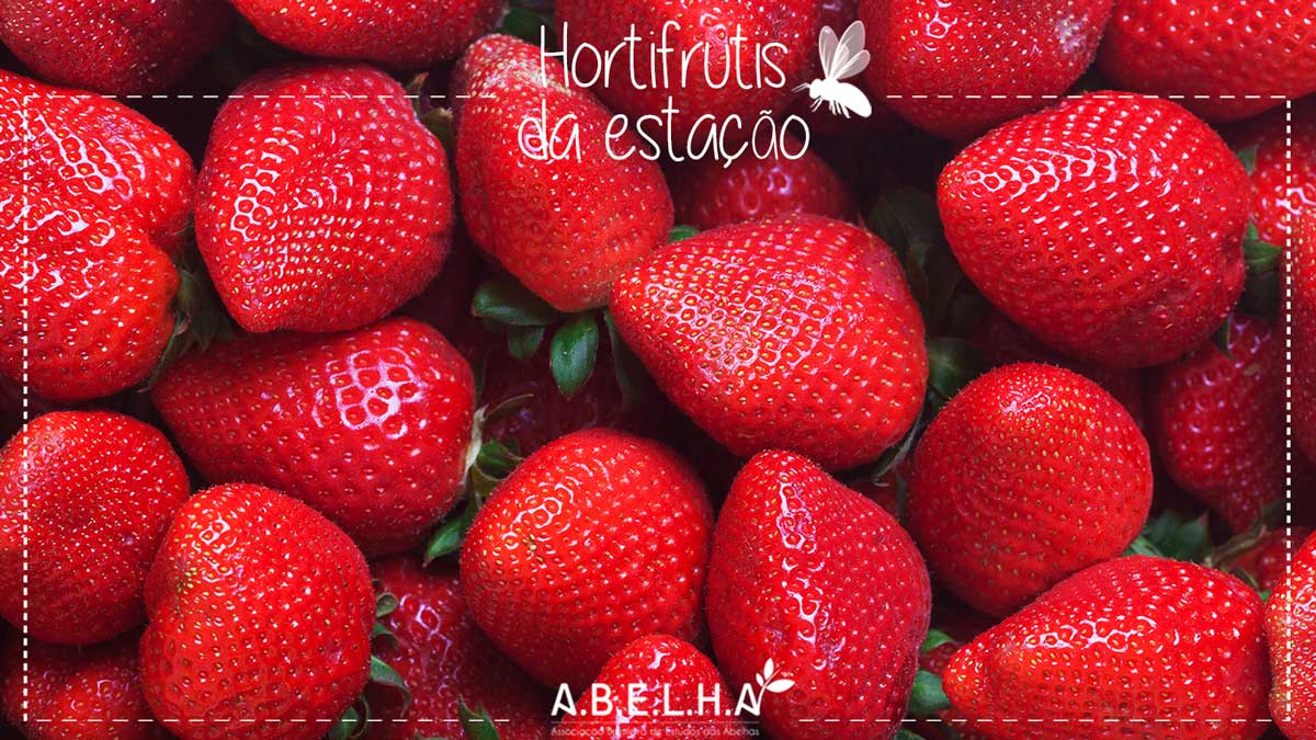 época de morango no brasil