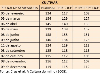 Calendário detalhado de plantio de milho para cada região do Brasil