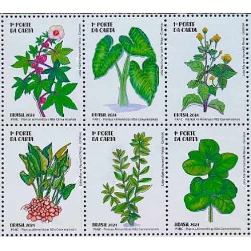 Capuchinha: da horta para a salada