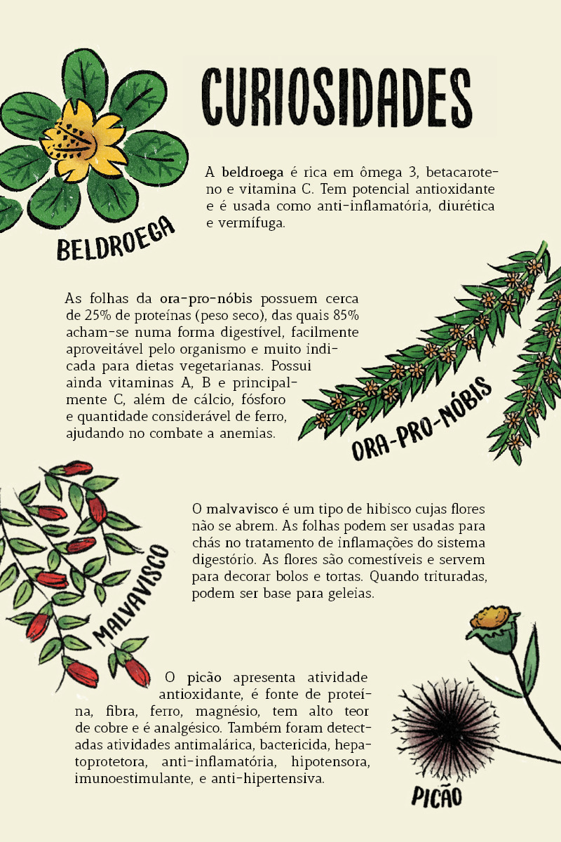 Guia completo da Embrapa sobre PANC