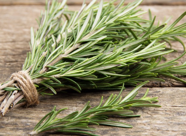 Eucalipto: Benefícios Respiratórios da Aromaterapia