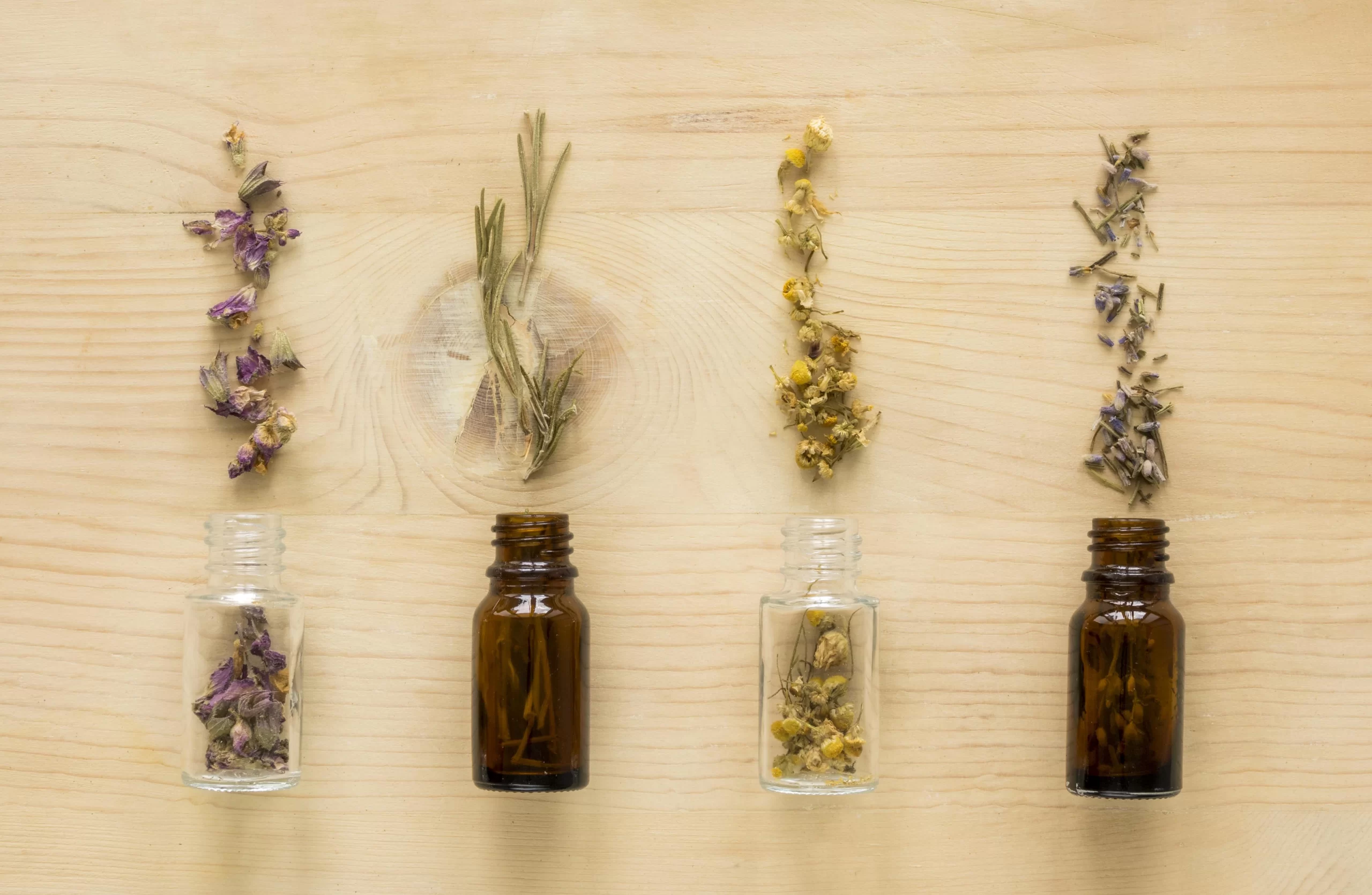 Eucalipto: Benefícios Respiratórios da Aromaterapia