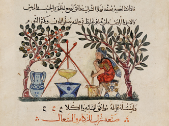 10 Ervas Medievais Essenciais para a Culinária e Medicina