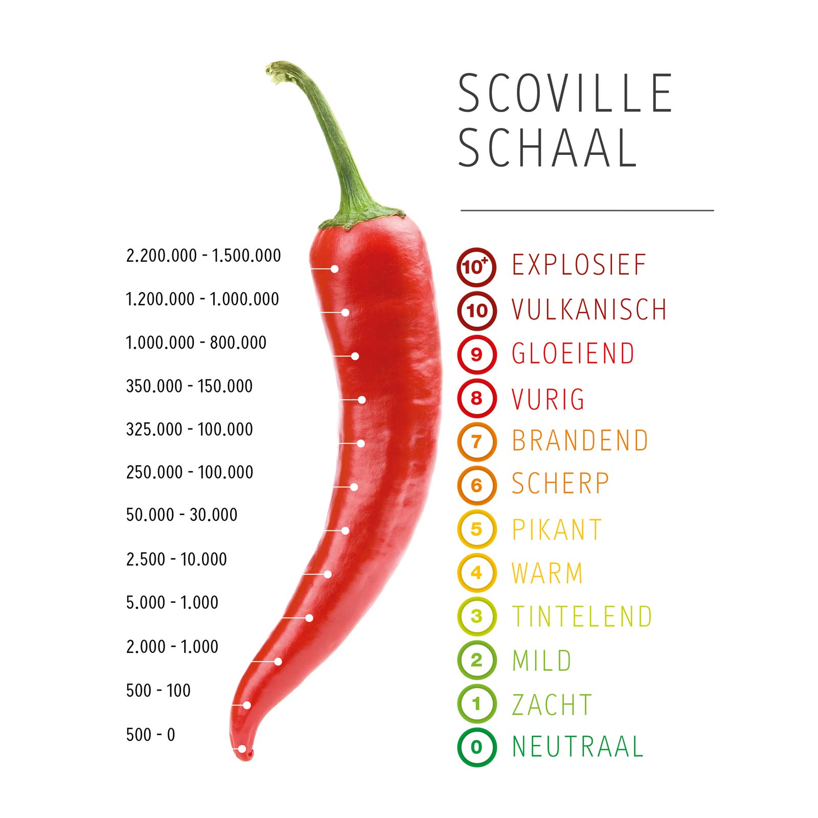 Guia Completo da Escala Scoville