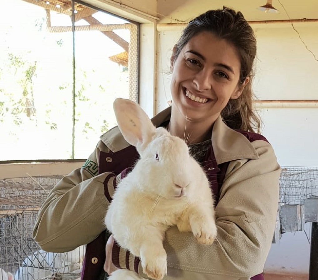 esterco de coelho como adubo