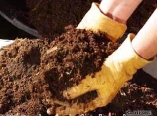 Esterco de Coelho: O Adubo Orgânico Completo para sua Horta e Jardim