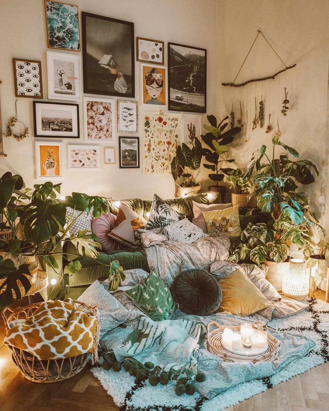 plantas ideais para decoração boho chic