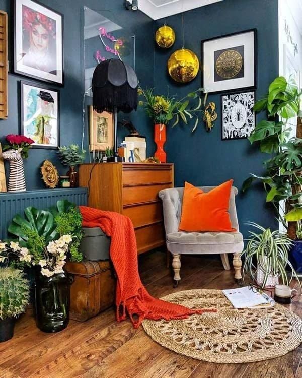 plantas ideais para decoração boho chic